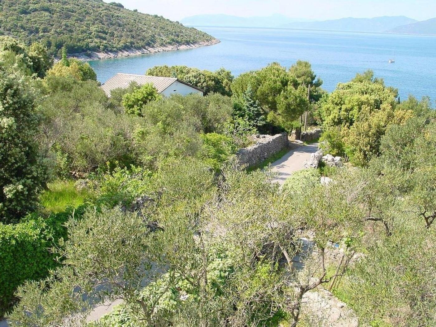 Apartments Griv - Close To The Sea Valun Εξωτερικό φωτογραφία